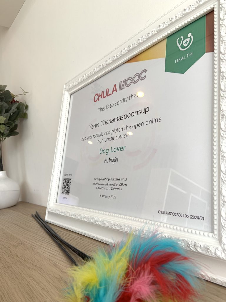 Dog Lover Certificate